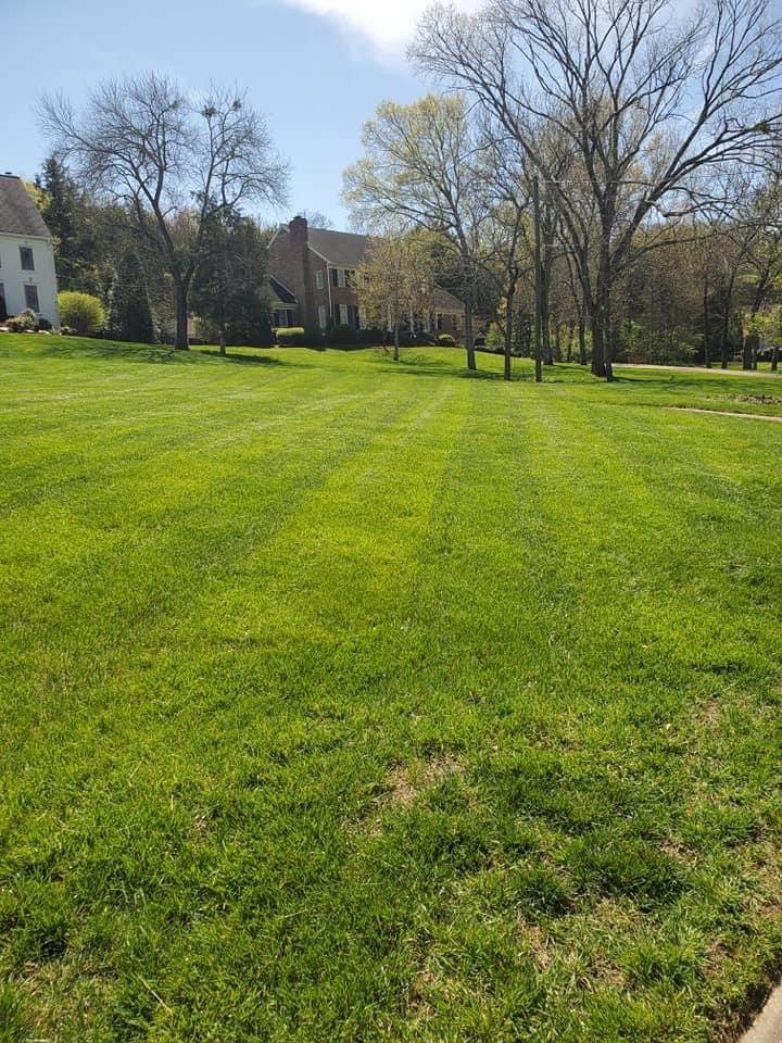 Marroquin perfecto landscaping Image